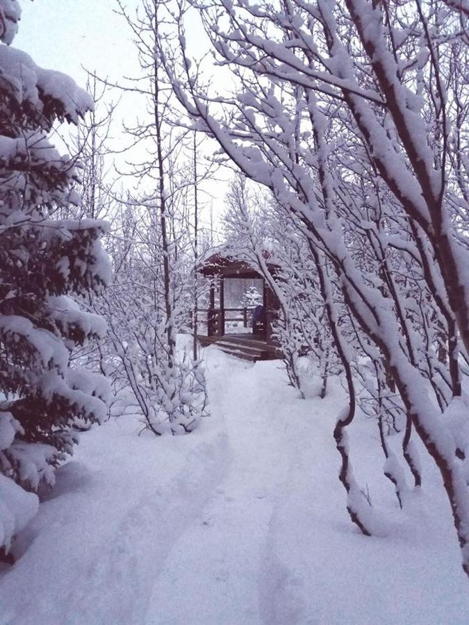 Bakkakot 1 - Cozy Cabins In The Woods Akureyri Exterior photo