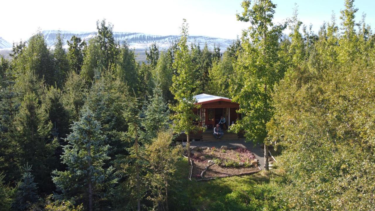 Bakkakot 1 - Cozy Cabins In The Woods Akureyri Exterior photo